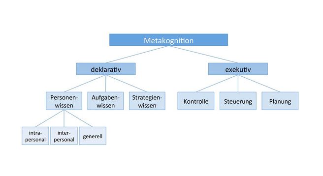 Aspekte von Metakognition